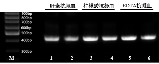 br taq dna聚合酶 浙江中迪生物科技有限公司